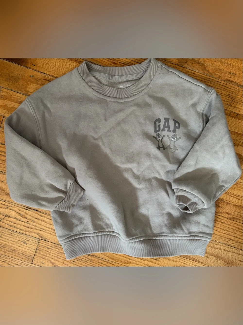 EUC Baby Gap Disney Chip and Dale Sweatshirt 2t